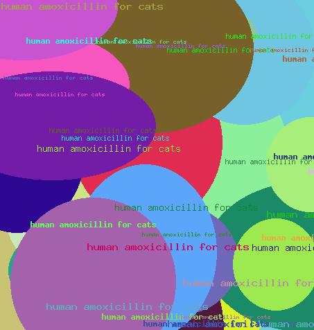Human Amoxicillin For Cats